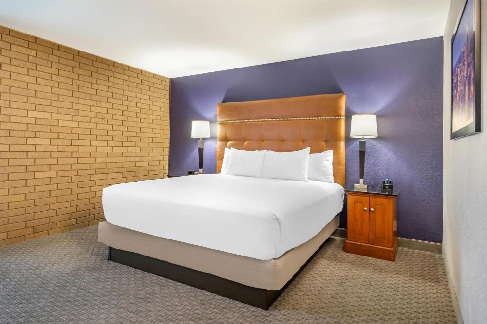 Spacious King Suite interior